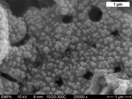 https://www.empa.ch/documents/20659/66477/Picture+Nanoparticles+and+Nanocomposites+Ceramics+bacteria+small.png/53adcae7-71af-4e18-a9a2-ffefe52b8597?t=1447760036000