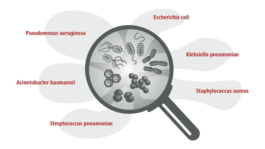 Grafik-AMR-Diagnostik-870.jpg