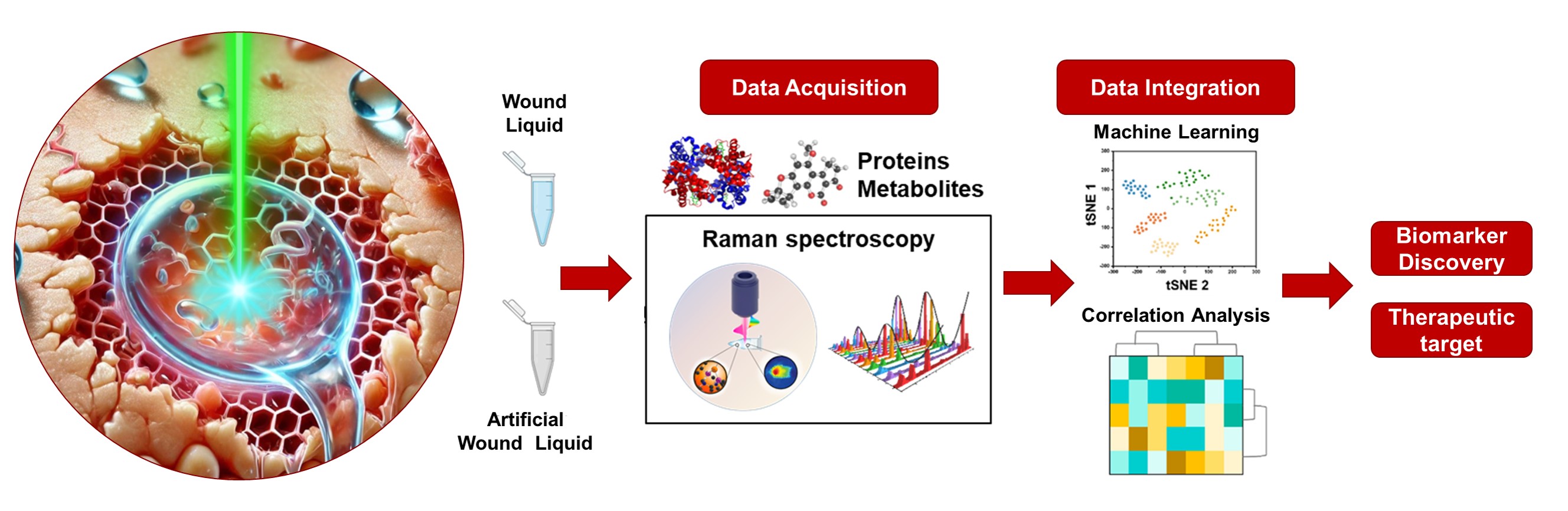 Raman+wound.jpg