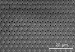 https://www.empa.ch/documents/55912/180054/Research_Micro-+and+Nanopattering+_Surface+patterning+_small.jpg/3aa9e150-95a5-496d-8f45-d5e52663d18c?t=1447669134000