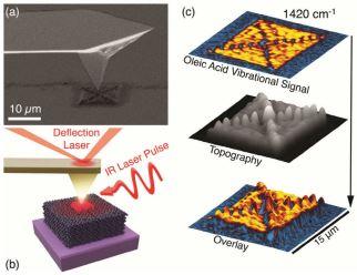 2024-afm_ir-of-electrohydro